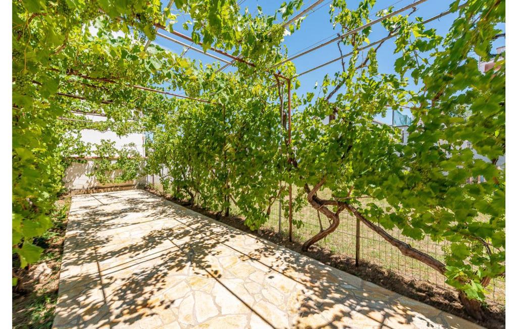 Apartment Neven Privlaka  Ngoại thất bức ảnh
